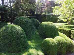 tuinaanleg-en-tuinonderhoud_zoersel_Goris_Jenthe_3.jpg