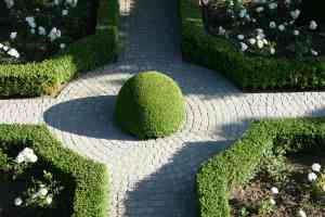 tuinaanleg-en-tuinonderhoud_brakel_Anwiku_4.jpg