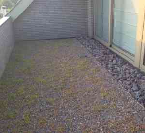 tuinaanleg-en-tuinonderhoud_asse-zellik_Nuis_&_Co_6.jpg