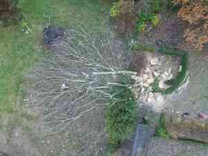 tuinaanleg-en-tuinonderhoud_alken_Artecta-boomverzorging_6.jpg
