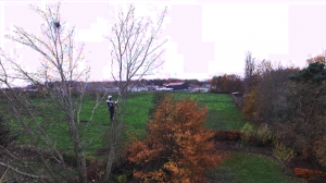 tuinaanleg-en-tuinonderhoud_alken_Artecta-boomverzorging_3.jpg