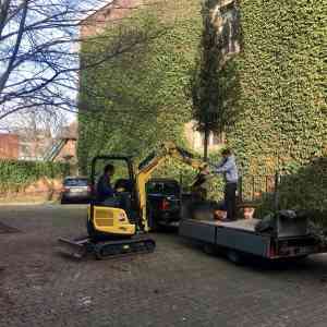 tuinaanleg-en-tuinonderhoud_gent_Hoveniers_Peter_Lorré_5.jpg