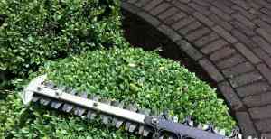 tuinaanleg-en-tuinonderhoud_beveren_Truyman_Koen,_Agriculture_2.jpg