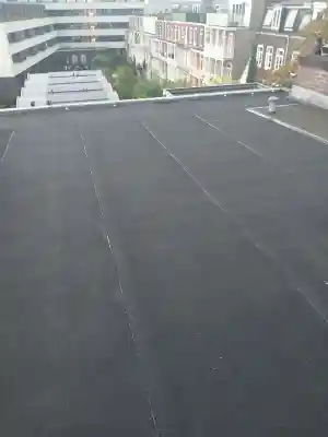 dakgoot_utrecht_Reem_dakbedekkingen_3.jpg