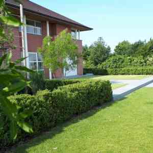 tuinaanleg-en-tuinonderhoud_staden_Cardoen_Tuinen_4.jpg