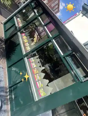 schilder_apeldoorn_Boom_Van_Leven_Werken_7.jpg