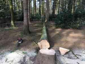 tuinaanleg-en-tuinonderhoud_malle_Tuinen_Thomas_3.jpg