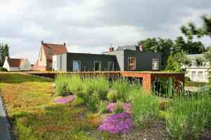 tuinaanleg-en-tuinonderhoud_roeselare_NATUROOF_Groendaken_en_Daktuinen_Roeselare_(regio_West-Vlaanderen)_3.jpg