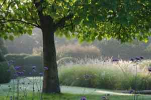 tuinaanleg-en-tuinonderhoud_turnhout_Eric_Sels_Tuinarchitectuur_5.jpg