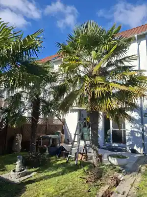 gartner_lampertheim_HG_-_Lifestyle_Heim_und_Garten_2.jpg