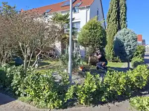 gartner_lampertheim_HG_-_Lifestyle_Heim_und_Garten_3.jpg