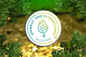 schreiner_ro%C3%9Fwein_Dubiel_Fenster_GmbH_5.jpg