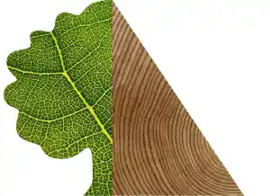 schreiner_wennigsen_Carpenter_Interlignum_2.jpg