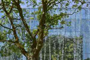 architect_breda_Rienks_Architecten_3.jpg