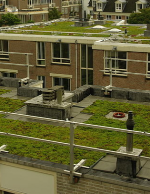 isolatie_beringen-paal_Future_Roofs_-_dakwerken_&_gevelbekleding_2.jpg