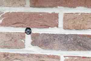 isolatie_tongeren_Isola_Floor_&_Energy_Solutions_4.jpg