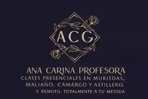 profesores-particulares_santander_Ana_Carina_profesora_Santander_4.jpg
