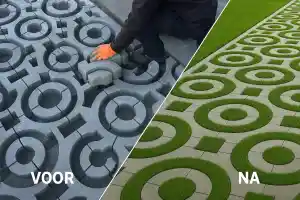 hovenier_rotterdam_Ambachtelijk_Groen_Hoveniers_5.jpg
