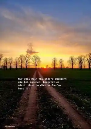 coaching_krembz_Mut_und_Halt_Psychologische_Beratung_6.jpg