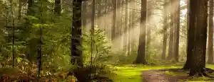 bestatter_strausberg_Bestattungshaus_Jegust_3.jpg