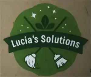 schoonmaakbedrijf_schiedam_Lucia's_Solutions_2.jpg