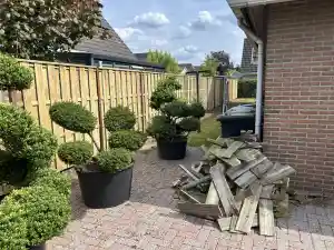 timmerman_delfzijl_T&E_Direct_7.jpg