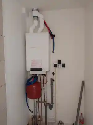 Cv ketel + rookgasafvoer vervangen .jpg