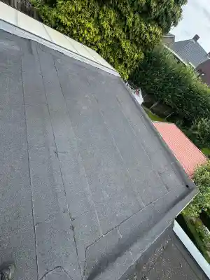 dakgoot_den-bosch_Van_Loon_Dakbeheer_2.jpg