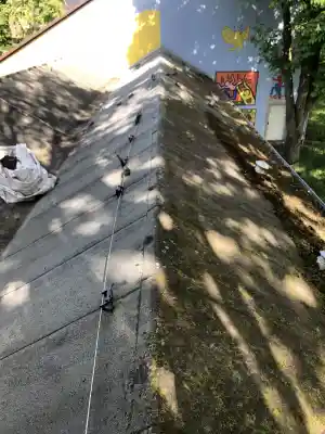 dachreinigung.jpg