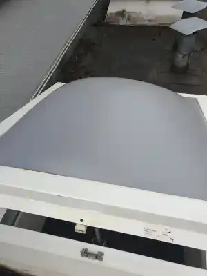 Fensterreinigung.jpg