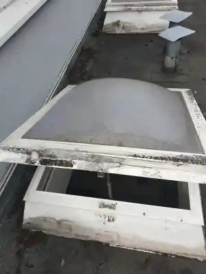 Fensterreinigung.jpg