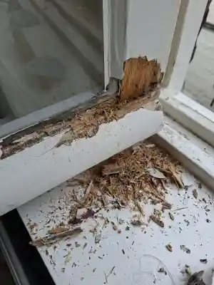 Houtrot reparatie.jpg
