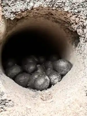 isolatie_maasmechelen-opgrimbie_Ecotec_Energy_3.jpg