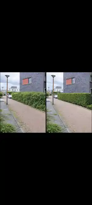 Strak gesnoeide haag langs oprit.jpg