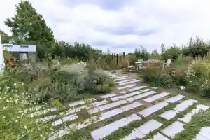 tuinaanleg-en-tuinonderhoud_dessel_Bonneco_Tuinen_3.jpg
