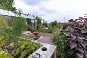 tuinaanleg-en-tuinonderhoud_dessel_Bonneco_Tuinen_4.jpg