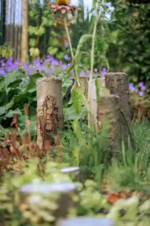 tuinaanleg-en-tuinonderhoud_dessel_Bonneco_Tuinen_5.jpg