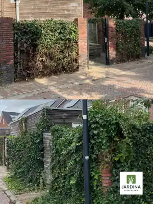 hovenier_nijmegen_Jardina_Hoveniers__3.jpg
