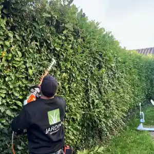 hovenier_nijmegen_Jardina_Hoveniers__7.jpg