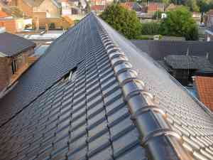 dakdekker_denderleeuw_DakDenderleeuw_4.jpg
