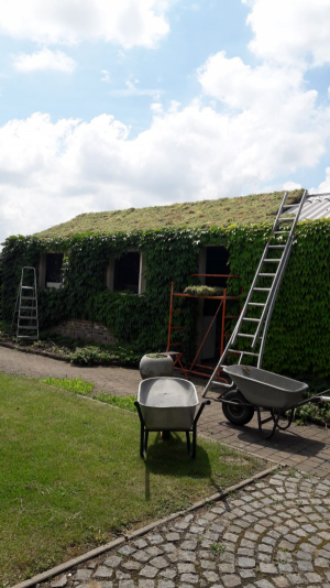 dakdekker_ninove_Djs_Dakwerken,_Isolation_(Djs_Dakwerken_bvba)_2.jpg