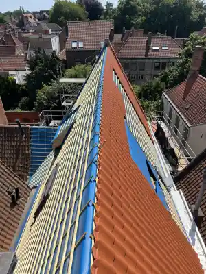 Dakrenovatie,nieuwbouw,Veluxen,zinken hang en bakgoten .jpg