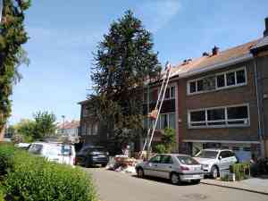 dakdekker_bruxelles_Helianthe_sprl_Toitures_Dakwerken_4.jpg