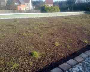 dakdekker_sint-truiden-velm_Eco_Groendak_5.jpg