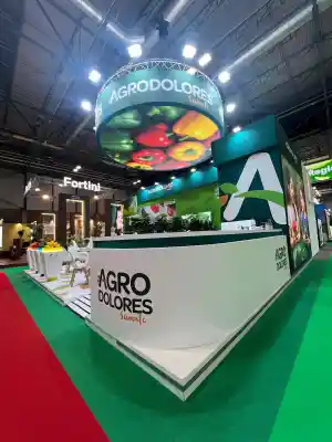 carpintero_mejorada-del-campo_Dejavu_Project_7.jpg