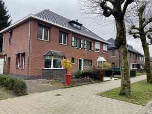 schilder_wommelgem_De_Geveldokter_3.jpg