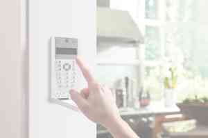 beveiliging_mol_Squeak_Alarm_Systems_2.jpg