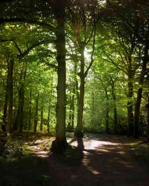 relatietherapeut_bergen-nh_De_Verbinding,_centrum_voor_Psychotherapie_5.jpg