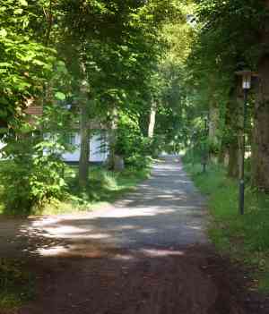 relatietherapeut_bergen-nh_De_Verbinding,_centrum_voor_Psychotherapie_2.jpg