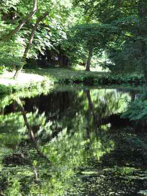 relatietherapeut_bergen-nh_De_Verbinding,_centrum_voor_Psychotherapie_6.jpg